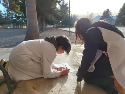 WhatsApp Image 2024-07-31 at 20.32.36.jpeg